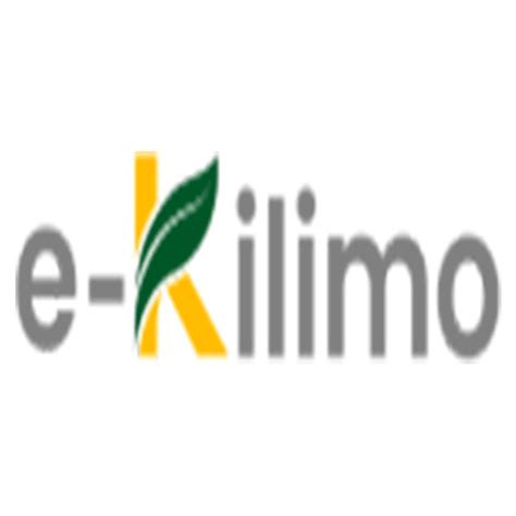 Vilnonio kilimo fragmentas