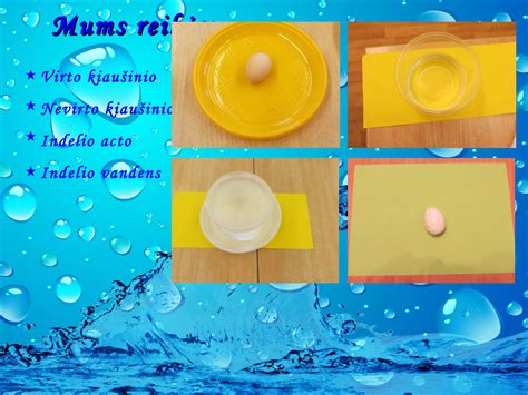 eksperimento su kiaušiniu ir actu eiga