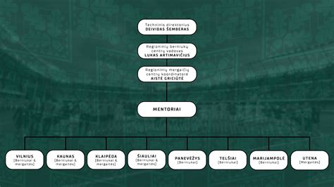 Ankstyvo brendimo schema