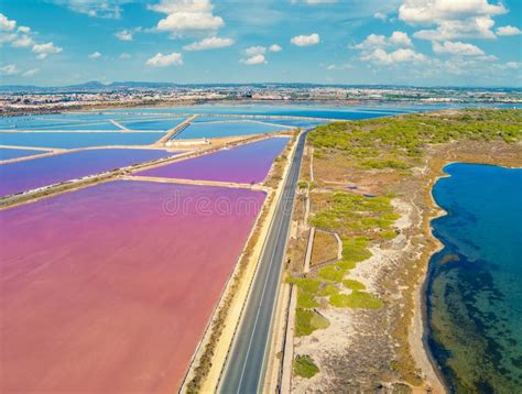San Pedro del Pinatar druskos ežerai ir flamingai