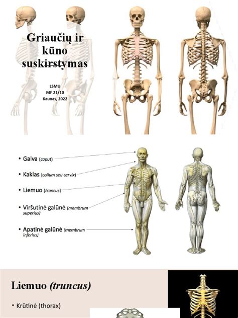 Grafikas: Automobilinių kėdučių skirstymas pagal svorį ir amžių