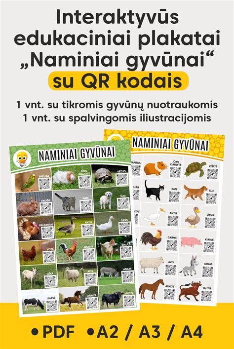 Interaktyvi knyga su QR kodais