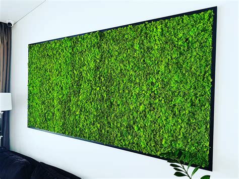 Stabilizuotos samanos kaip interjero detalė