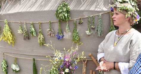 vaistažolių rinkimas gamtoje