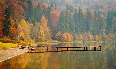 Linksmas rudens peizažas su krintančiais lapais ir lietaus lašais