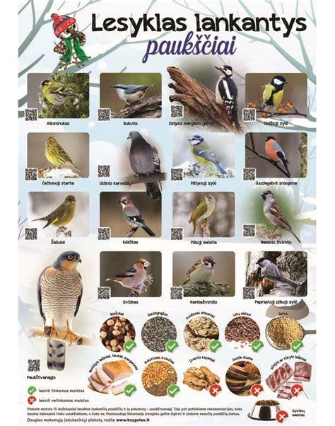 Pavasariniai paukščiai ir pirmieji žiedai