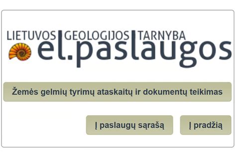 dokumentų teikimas internetu