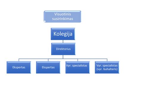 Vienkartinio pakloto sluoksnių struktūros diagrama