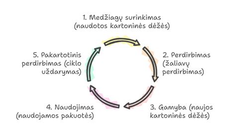 schema, vaizduojanti normalią placentos padėtį ir įvairius placentos pirmeigos tipus