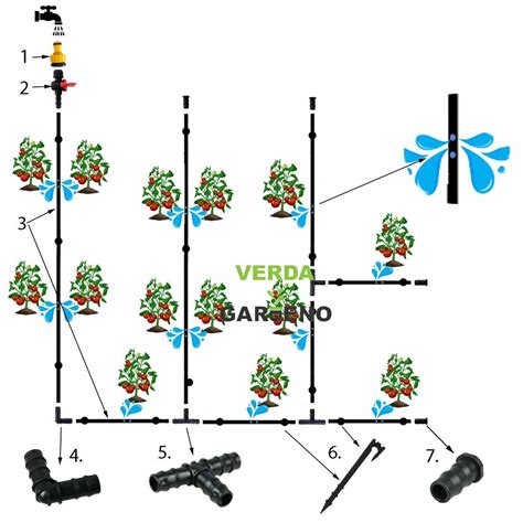 Laistymo ir tręšimo schema rožėms