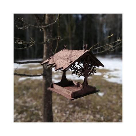 Lesyklėlė su maistu paukščiams