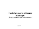 Centrinės nervų sistemos vystymasis embrionui
