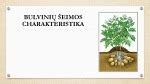 Bulvinių šeimos augalų įvairovė