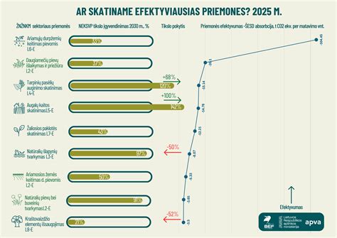 Infografika: Kontraceptinių priemonių efektyvumas