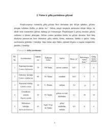 Molingo dirvožemio paruošimas rudenį