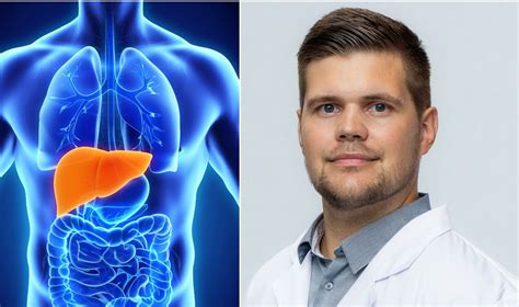 kepenų anatomija ir hepatito B pažeidimai