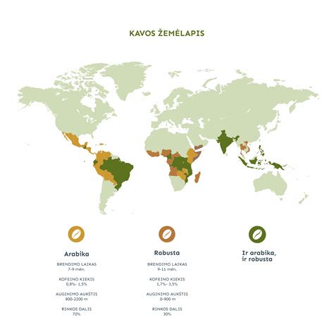 Indonezijos ir Brazilijos kavos plantacijos