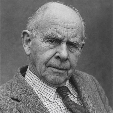 Vaizdinė schema apie J. Bowlby prieraišumo teoriją