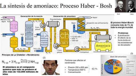 Haber-Bosch proceso schema