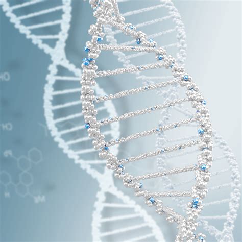 DNR testas tėvystės nustatymui