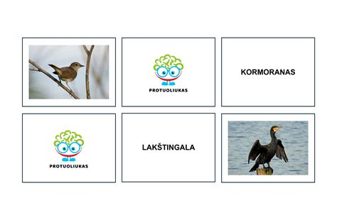 Dėmesio koncentracija ir įgūdžiai
