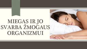 Miego įtaka smegenų veiklai