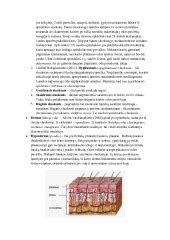Rūgštinių veido šveitiklių ingredientai