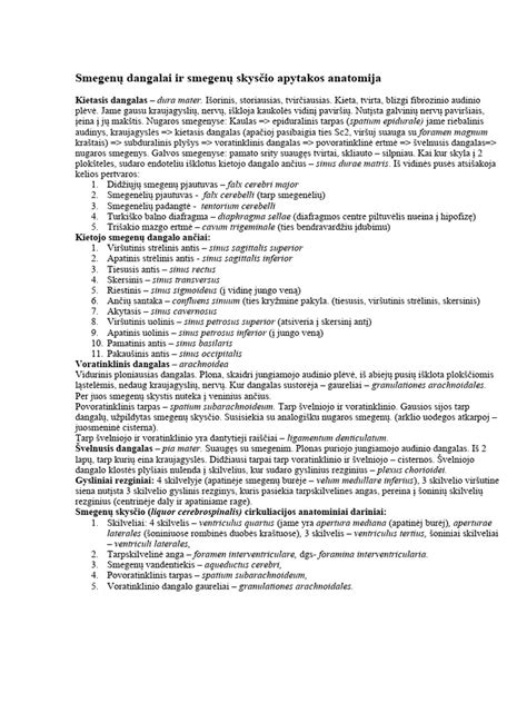 Vaisiaus smegenų skilvelių anatomija