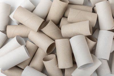 Tualetinio popieriaus ritinėliai, naudojami kaip daigų indeliai sode