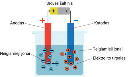 Elektrolitų svarba organizmui