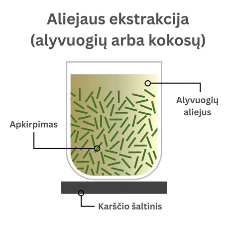 Keturiasdešimt plėšikų besislapstantys aliejaus ąsočiuose