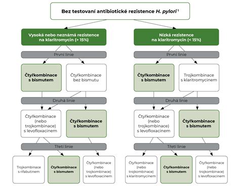 schema: Helicobacter pylori poveikis žmogaus organizmui