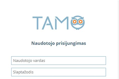 Ataskaitų generavimo schema TAMO sistemoje
