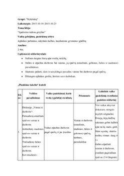 Vaikų darželio edukacinių erdvių planas
