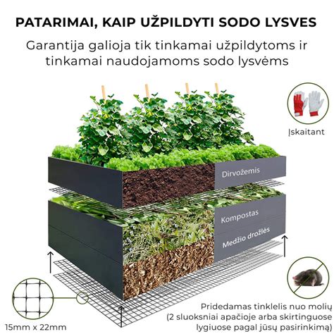 Įvairių raudonų daržovių lysvė