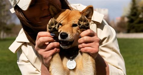 Šuo gelbėja vaiką iš gaisro