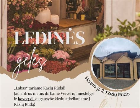 Klaipėdos miesto gėlių parduotuvė