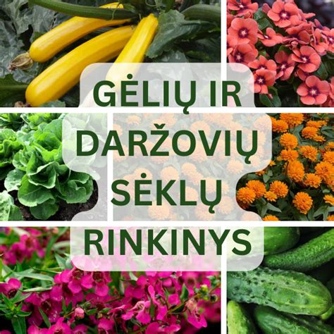 Gėlių ir daržovių derinys lysvėje