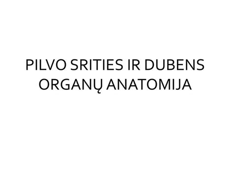 Krūtinės ląstos ir vidaus organų anatomija