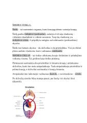 schema: nėščiosios širdies veikla ir kraujotakos pokyčiai