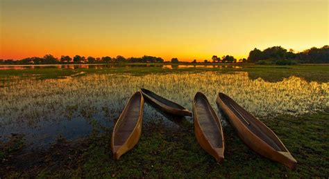Okavango delta ir mokoro kanojos