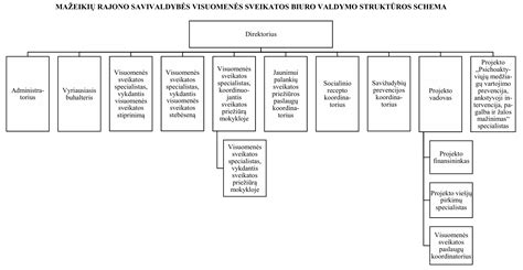Schema, vaizduojanti visuomenės sveikatos specialistų karjeros kelius Lietuvoje