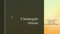 Citomegalo virusas: pavojai nėštumo metu