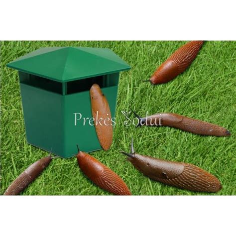 Namų gamybos alaus gaudyklė šliužams