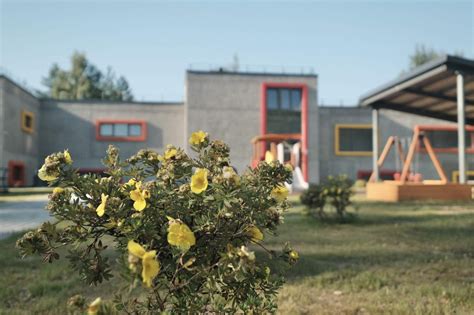 Architektūriniai Vilniaus darželio elementai