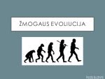 Hominidų evoliucijos eiga ir išsiskyrimas