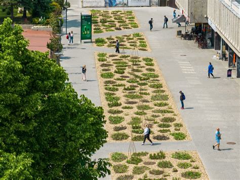 Bendruomeninis daržas Vilniuje