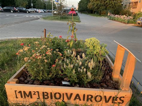 Miesto daržas su lysvėmis