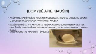 Kiaušinis įkrentantis į butelį