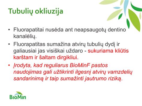Sėklidžių ir sėklinių kanalėlių schema
